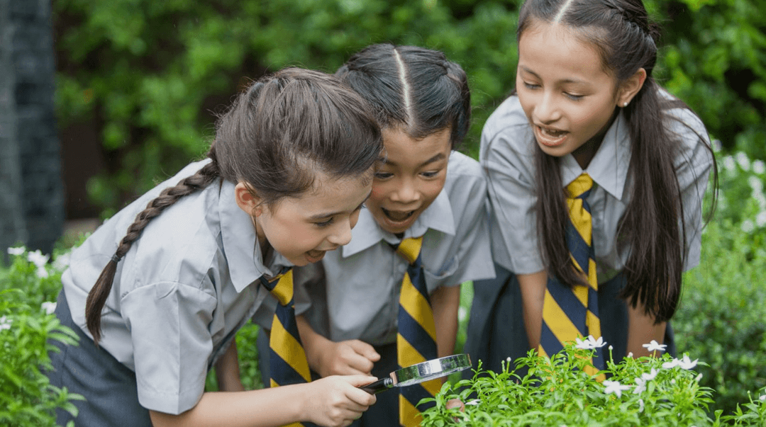 Learning Garden view